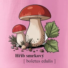 Hřib smrkový - Boletus edulis kreslený