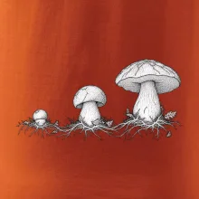 Životní cyklus hřibu