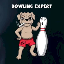 Bowling expert (Hana-creative)