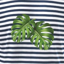 Monstera - dva listy