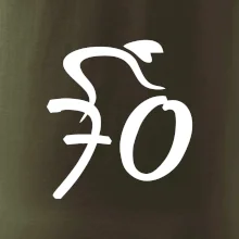 Cyklista slaví sedmdesátku (70)