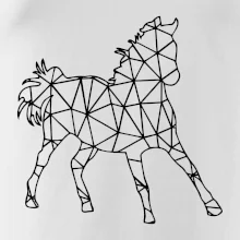 Geometrie - kůň jednobarevná
