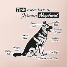 Německý ovčák - Anatomie
