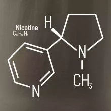 Molekulární struktura Nikotin