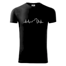 Stafordšírsky bulteriér EKG