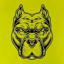 Americký stafordširský teriér hlava