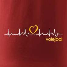 Moje srdce bije pro Volejbal