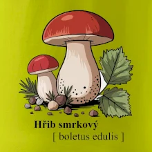 Hřib smrkový - Boletus edulis kreslený
