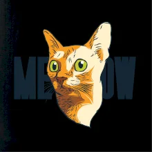 Kočka meow