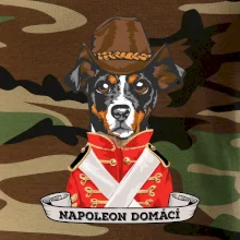 Napoleon domácí pes kříženec