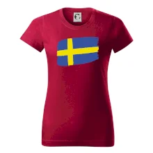 Švédsko vlajka štětkou