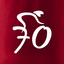 Cyklista slaví sedmdesátku (70)