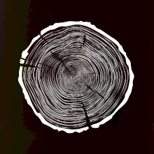 Letokruhy 85 bez věku