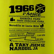 1966 v kostce