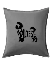 Maltézský psík nápis v těle