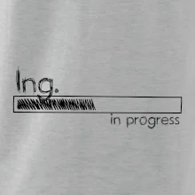 In progress  titul Ing. inženýr / inženýrka