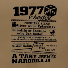 1977 v kostce