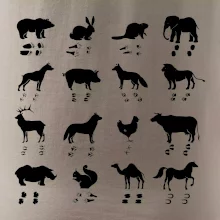 Zvířecí stopy s obrázkem zvířete - stopy zvířat