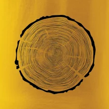 Letokruhy 100 bez věku