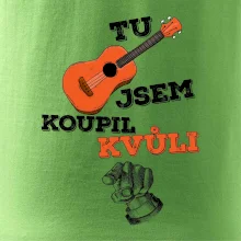 Tu kytaru jsem koupil kvůli tobě
