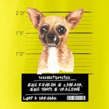 Lump a darebák čivava