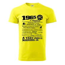 1965 v kostce