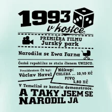 1993 v kostce