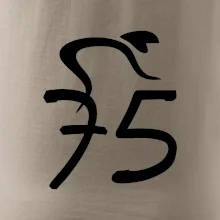 Cyklista slaví pětasedmdesátku (75)