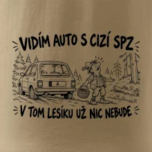 Vidím auto s cizí spz