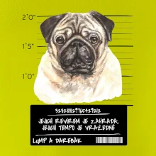 Lump a darebák mopsík