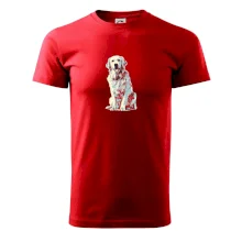 Zlatý retriever vintage