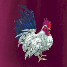 Kohout kreslený bílý