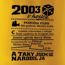 2003 v kostce