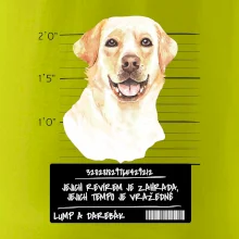 Lump a darebák labrador
