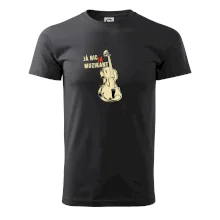 Já nic, já muzikant