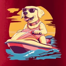 Zlatý retrívr na vodním skútru