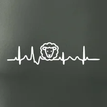 Ekg ovce
