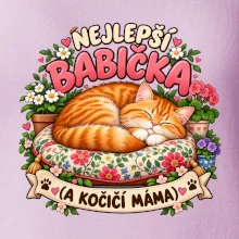 Nejlepší babička a kočičí máma spící zrzavý kocour