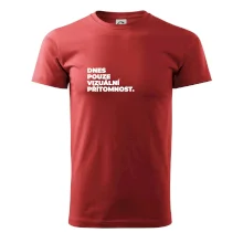 DNES POUZE VIZUÁLNÍ PŘÍTOMNOST.