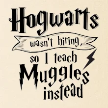 Harry - Hogwarts wasn’t hiring, so I teach Muggles instead