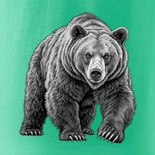 zvířata Beskyd - medvěd hnědý