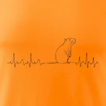 EKG křivka kapybara