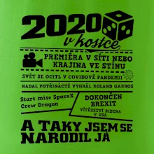 2020 v kostce