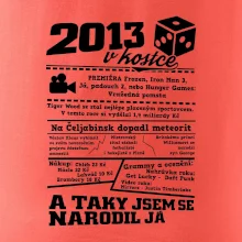 2013 v kostce