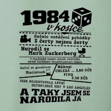 1984 v kostce