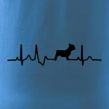 EKG Francouzský buldoček z boku