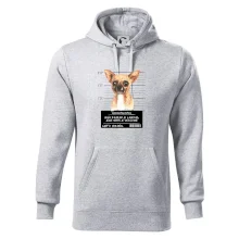 Lump a darebák čivava