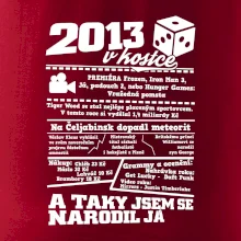 2013 v kostce