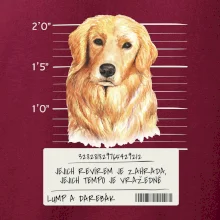 Lump a darebák zlatý retrívr