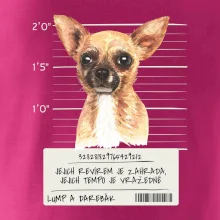 Lump a darebák čivava